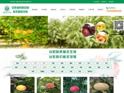 桃树苗_枣树苗_核桃苗_黄桃苗_李子苗-安徽省寿县迎河科丰种苗中心
