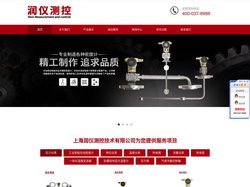 在线密度计_在线式侧装密度计_顶装密度计-上海润仪测控技术有限公司