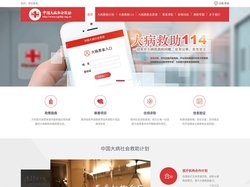中国大病社会救助