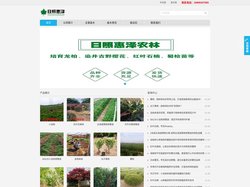 小龙柏,龙柏苗,龙柏床苗,嫁接小龙柏,龙柏树,龙柏球,龙柏工程苗 - 日照惠泽农林科技有限公司