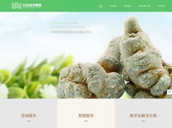 云药技术服务平台 中药材专业技术服务
