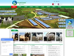 杜泊绵羊|萨福克羊|种羊|湖羊厂家_潍坊普兰特汉种羊有限公司官网