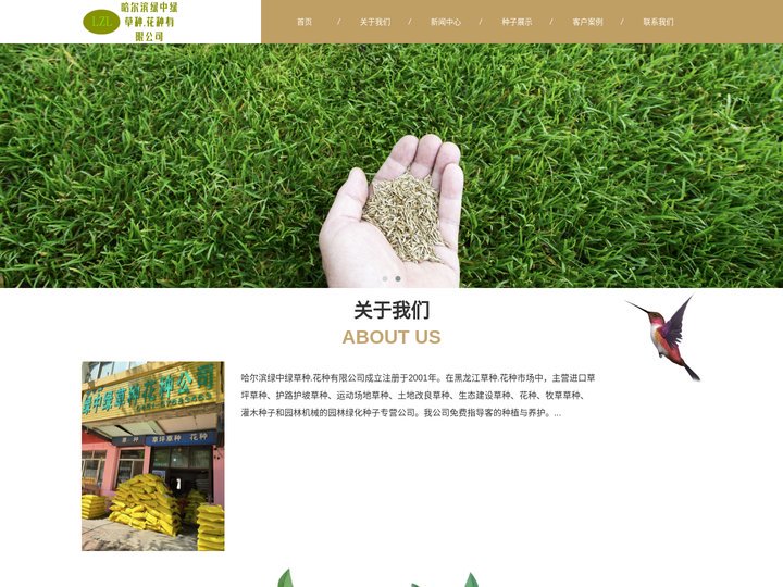 哈尔滨哪买卖草种_花种_种子?