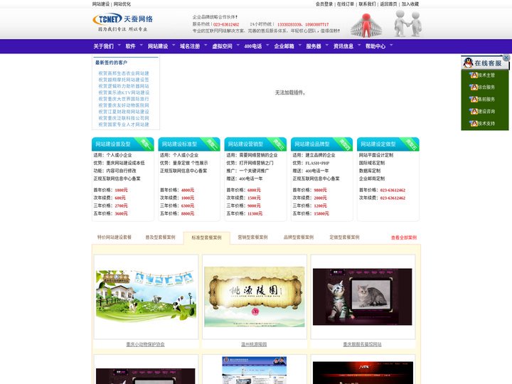 重庆网站建设公司|重庆网站制作公司|重庆网页制作公司|重庆做网站|重庆网站优化|重庆网络公司-重庆天蚕网络科技有限公司0