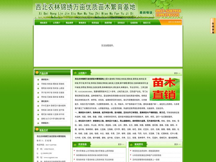 陕西侧柏苗,陕西元宝枫,陕西紫叶矮,陕西金叶榆,陕西樱花苗,陕西海棠苗-西北农林锦绣万亩优质苗木繁育基地