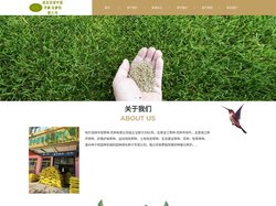 哈尔滨哪买卖草种_花种_种子?