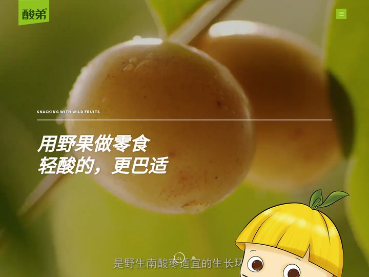 四川宏野食品有限公司_酸弟