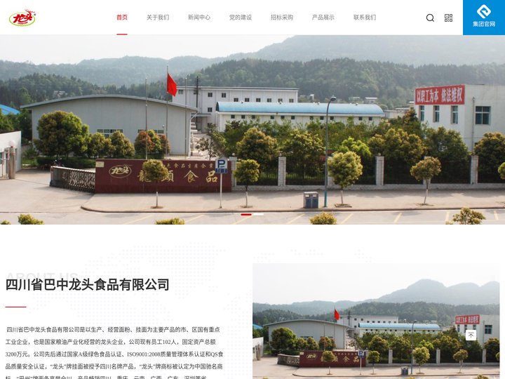 四川省巴中龙头食品有限公司