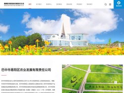 巴中市恩阳区农业发展有限责任公司