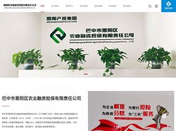 巴中市恩阳区农业融资担保有限责任公司