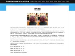 保定标创电子科技有限公司-科技-动漫