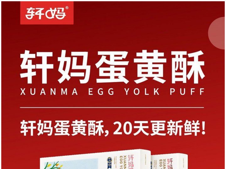 轩妈蛋黄酥免费代理-轩妈食品招商总监