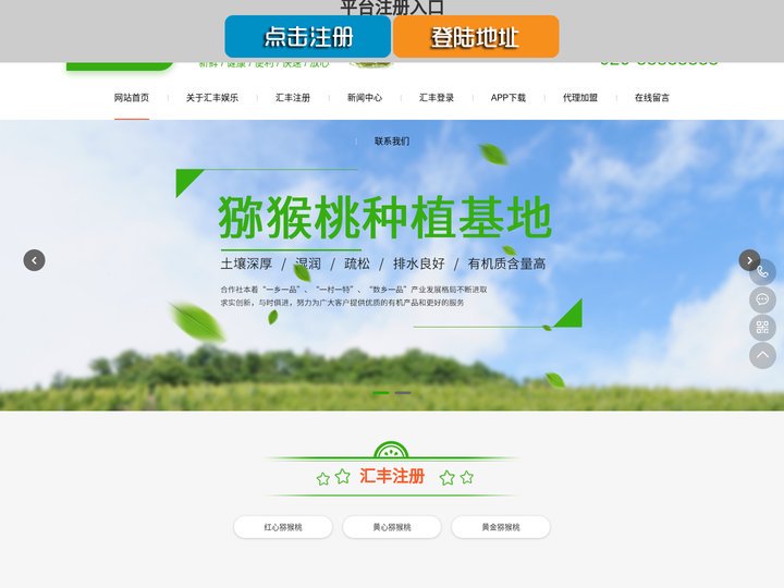 汇丰-汇丰娱乐蔬菜果蔬鲜果配送中心