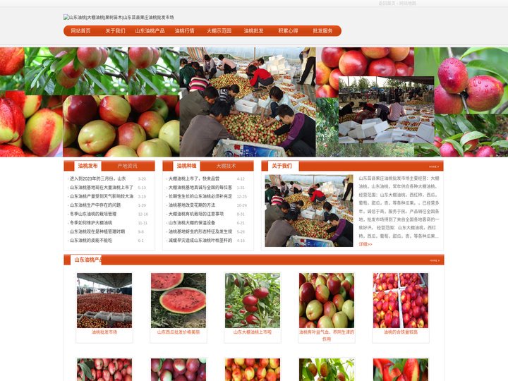 山东油桃|大棚油桃|果树苗木|山东莒县果庄油桃批发市场