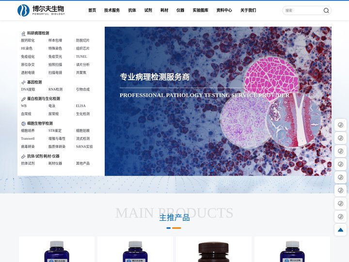 武汉博尔夫生物科技有限公司 | 专注于生物医学研究和技术服务的企业
