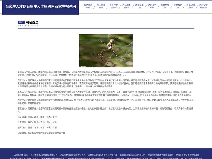 石家庄人才网石家庄人才招聘网石家庄招聘网