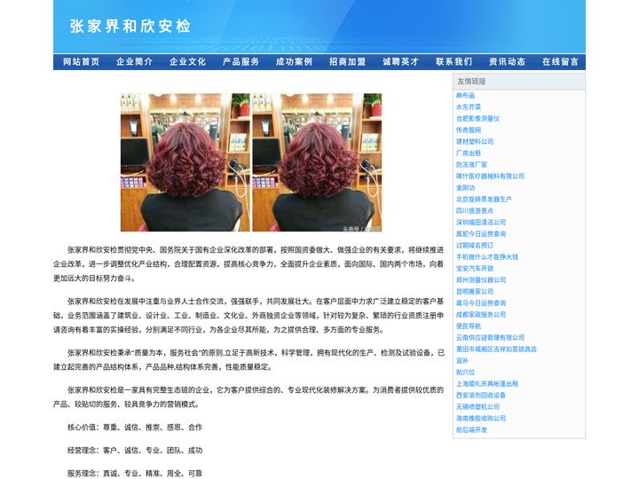 张家界和欣安检