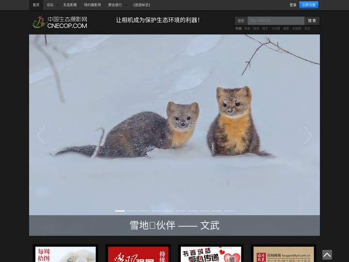 中国生态摄影网-让相机成为保护生态环境的利器！ -  Powered by suoqiu.net