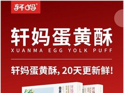 轩妈蛋黄酥免费代理-轩妈食品招商总监