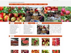 山东油桃|大棚油桃|果树苗木|山东莒县果庄油桃批发市场
