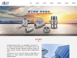 不锈钢液化气减压阀-可调式蒸汽减压阀 - 温州市欧越阀门有限公司