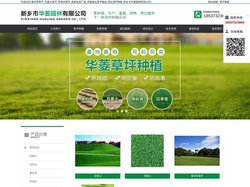 果岭草草坪_百慕大草坪_早熟禾草坪_草皮批发厂家_河南绿化草坪基地_绿化草坪种植_新乡市华菱园林有限公司