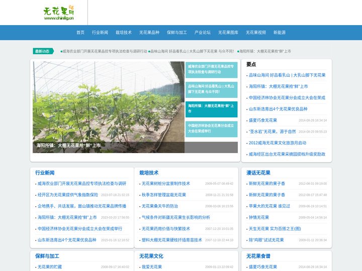 无花果网  无花果电子商务平台 无花果干 china fig Ficus carica Linn.