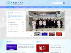 湖北省医院协会