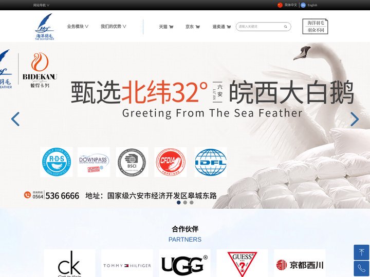 六安市海洋羽毛有限公司