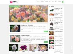 月季花园-专业的月季网站