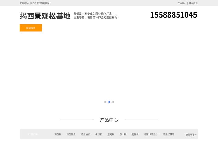 揭西造型黑松-泰山迎客松-揭西平顶松种植-揭西景观松基地