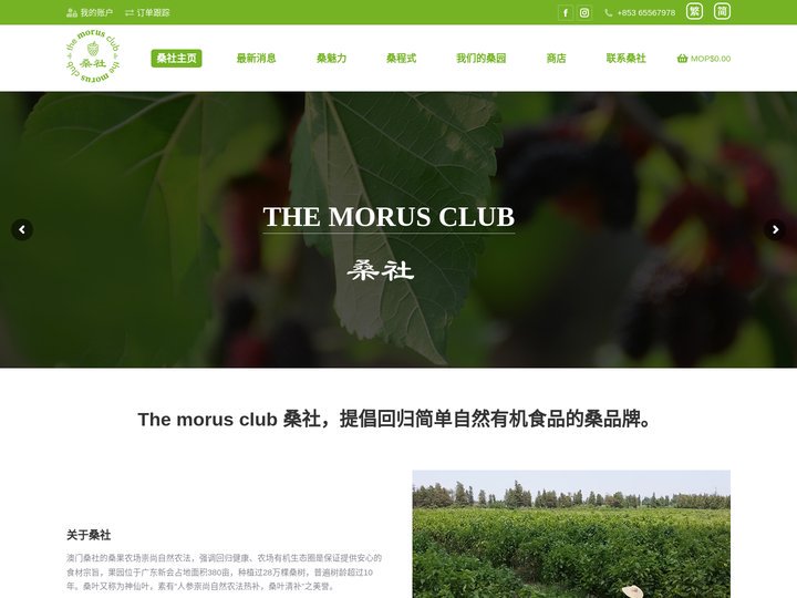 澳門桑社—關於桑的品牌介紹,產品功效作用以及食用方法