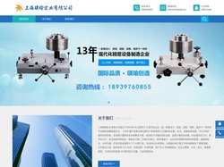 活塞式压力计-精密数字-指针压力表-压力校验仪-手动压力源-上海瑛瑜