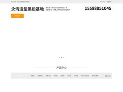 永清景观松-泰山迎客松-永清平顶松种植-永清造型黑松基地