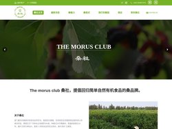 澳門桑社—關於桑的品牌介紹,產品功效作用以及食用方法