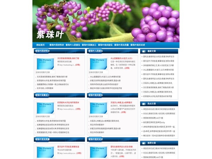 紫珠叶