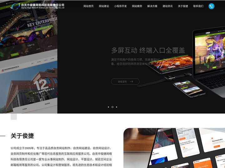 自贡市俊捷网络科技有限责任公司_自贡网站建设_网页设计制作与开发_自贡俊捷网络公司