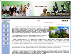 中方纯中医医院主页