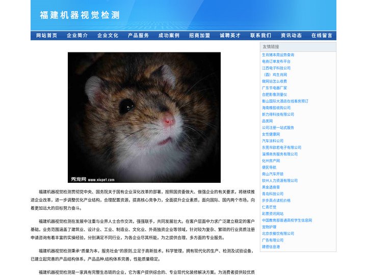 福建机器视觉检测-首瑞自动化