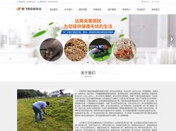 东莞厚街白蚁防治，东莞虎门白蚁公司，东莞长安白蚁防治公司_东莞白蚁防治所中心_东莞胜飞翔白蚁公司