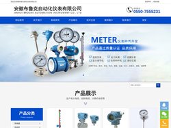 安徽布鲁克自动化仪表有限公司