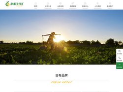 新鲜时刻_河南新鲜时刻果业有限公司_北京新鲜时刻农业开发有限公司-楼兰香蜜瓜_蜜瓜标准化体系倡导者