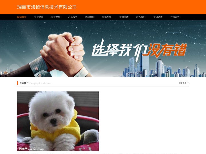 瑞丽市海诚信息技术有限公司-娱乐-历史