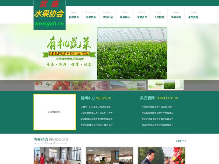 武庙水果协会