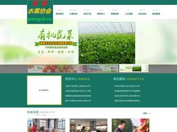 武庙水果协会