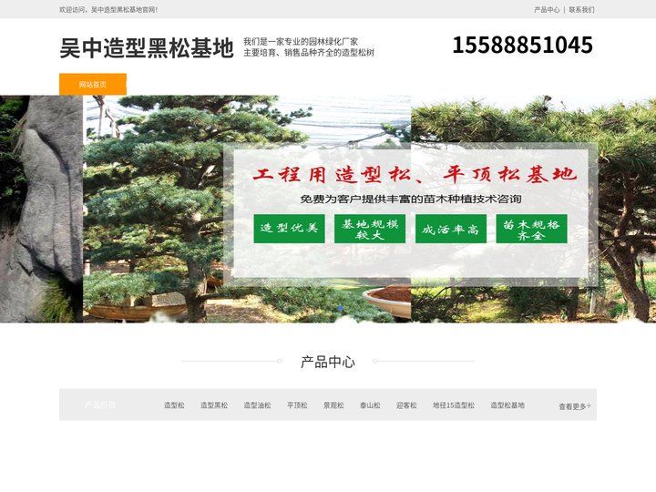吴中景观松-泰山迎客松-吴中平顶松种植-吴中造型黑松基地