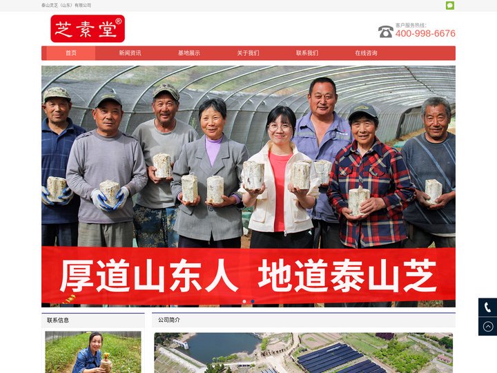 泰山灵芝（山东）有限公司_专注泰山赤灵芝、泰山灵芝孢子粉、泰山灵芝孢子油