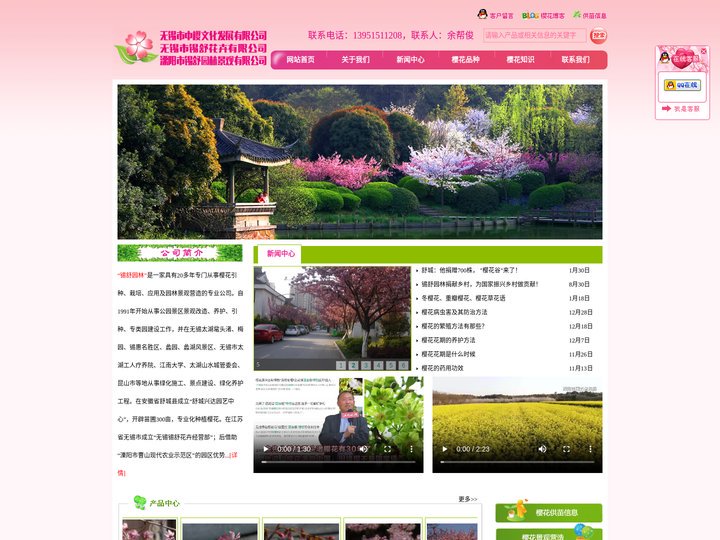樱花品种,樱花种苗,锡舒花卉,中樱文化发展有限公司-溧阳市锡舒园林景观有限公司