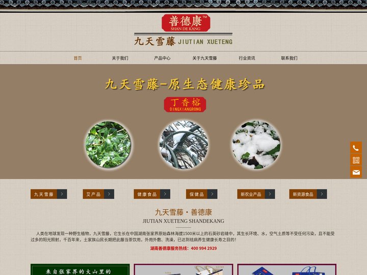 九天雪藤,九天血藤茶,艾灸产品