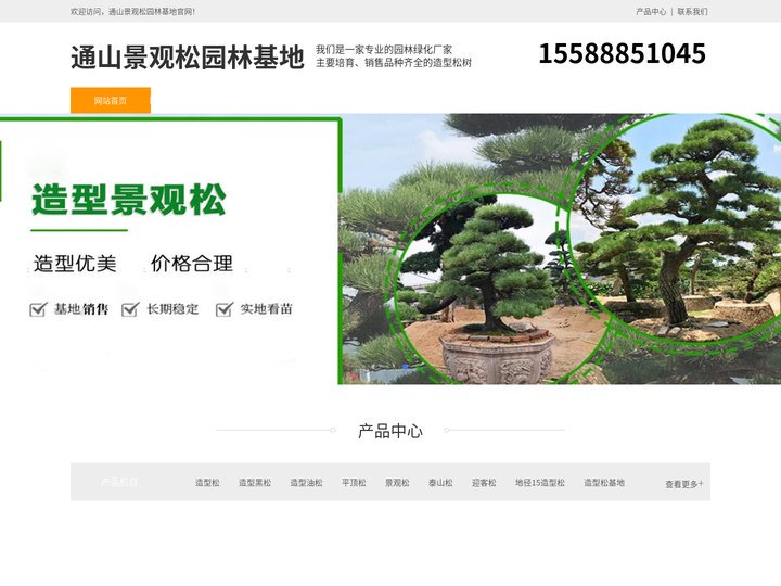 通山造型黑松树-泰山迎客松-通山平顶松培育-通山景观松园林基地